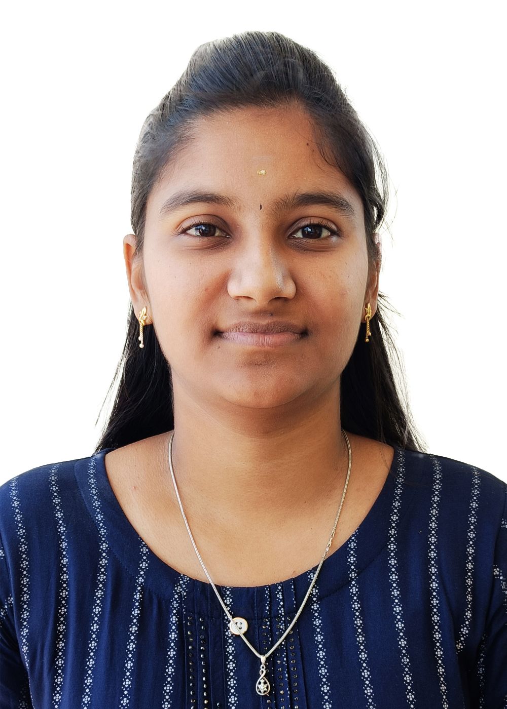 Braxton - Personal Portfolio & Resume HTML Template Avatar